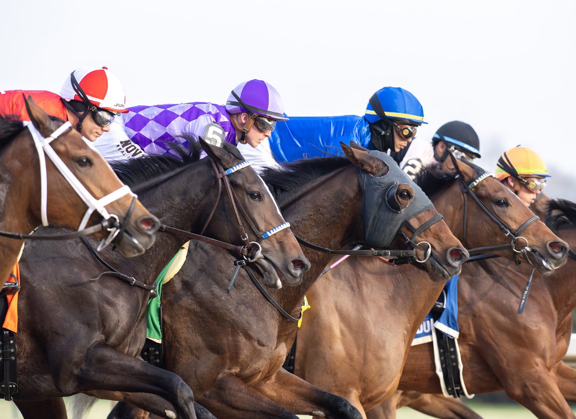 Letter to the Editor: Jockey Club Transparency