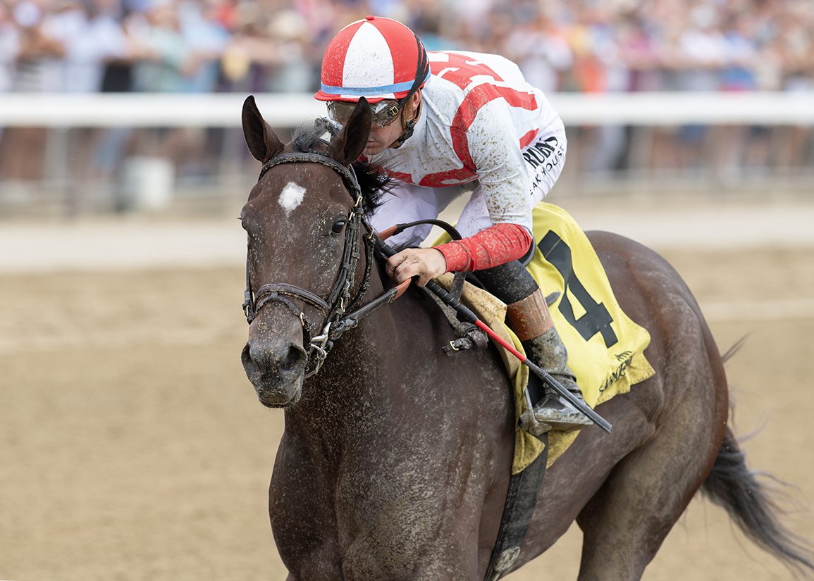 New York-Bred Cash Burn Sizzles in Debut at the Spa