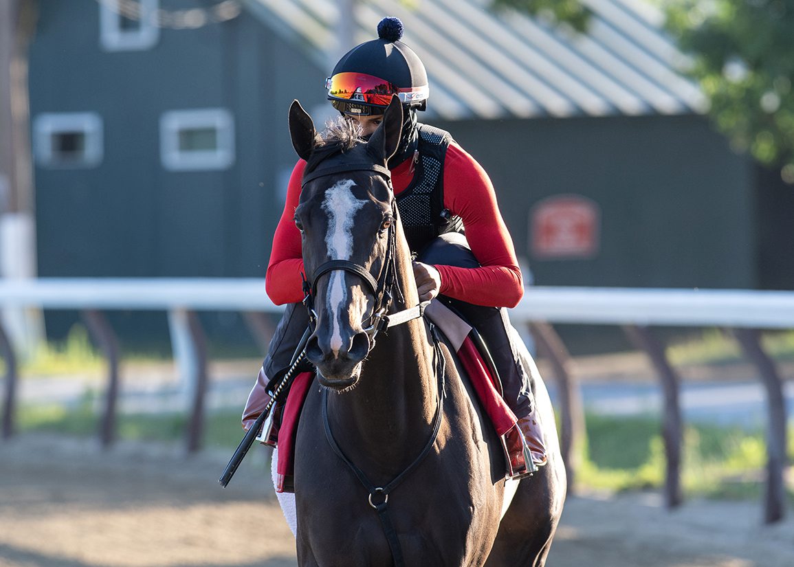Down the Shedrow with Mark Casse, presented by OBS