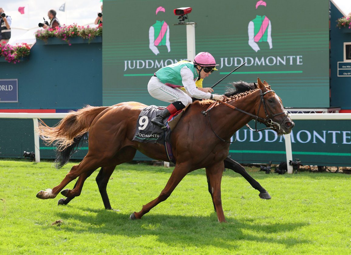 Item Rated Highest 3YO In Training After Juddmonte International Score
