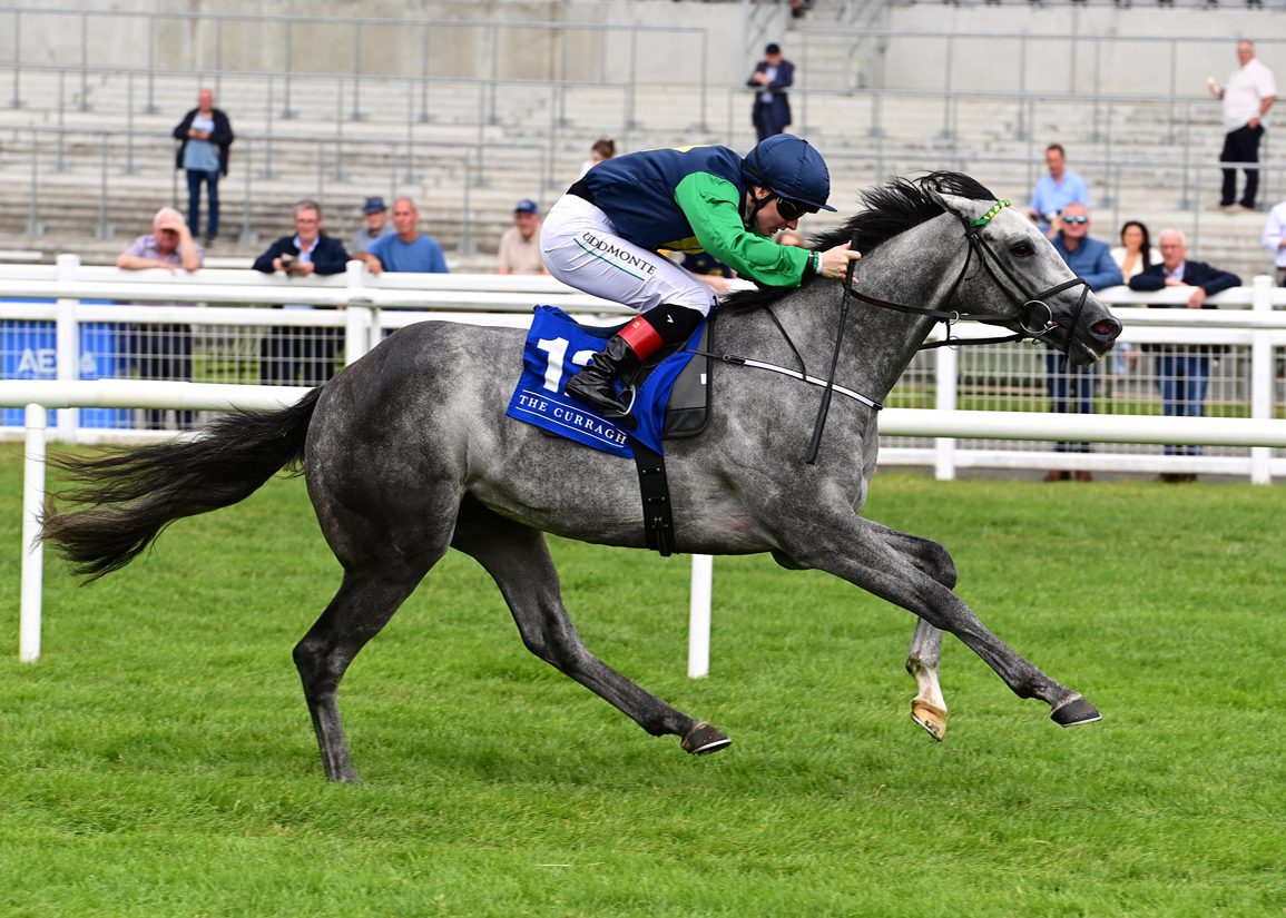 Timeform's Top Juveniles: Push The Boat Out A Smart Prospect For Kodi Bear