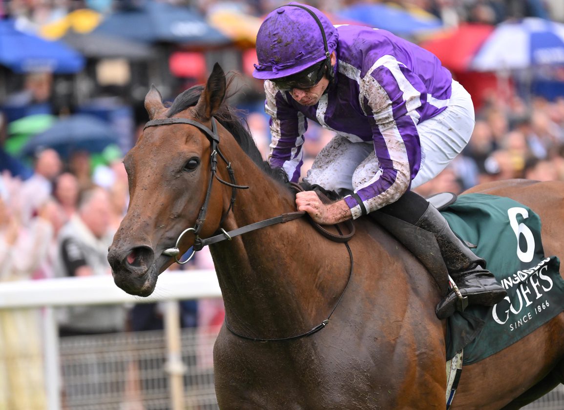 Sun Goddess Sensational In The Harry's Half Million