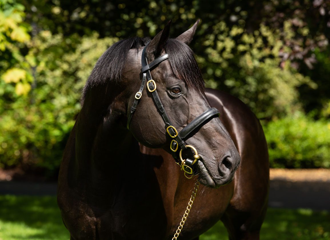 Love's Daughter So Lovely Off The Mark At Leopardstown